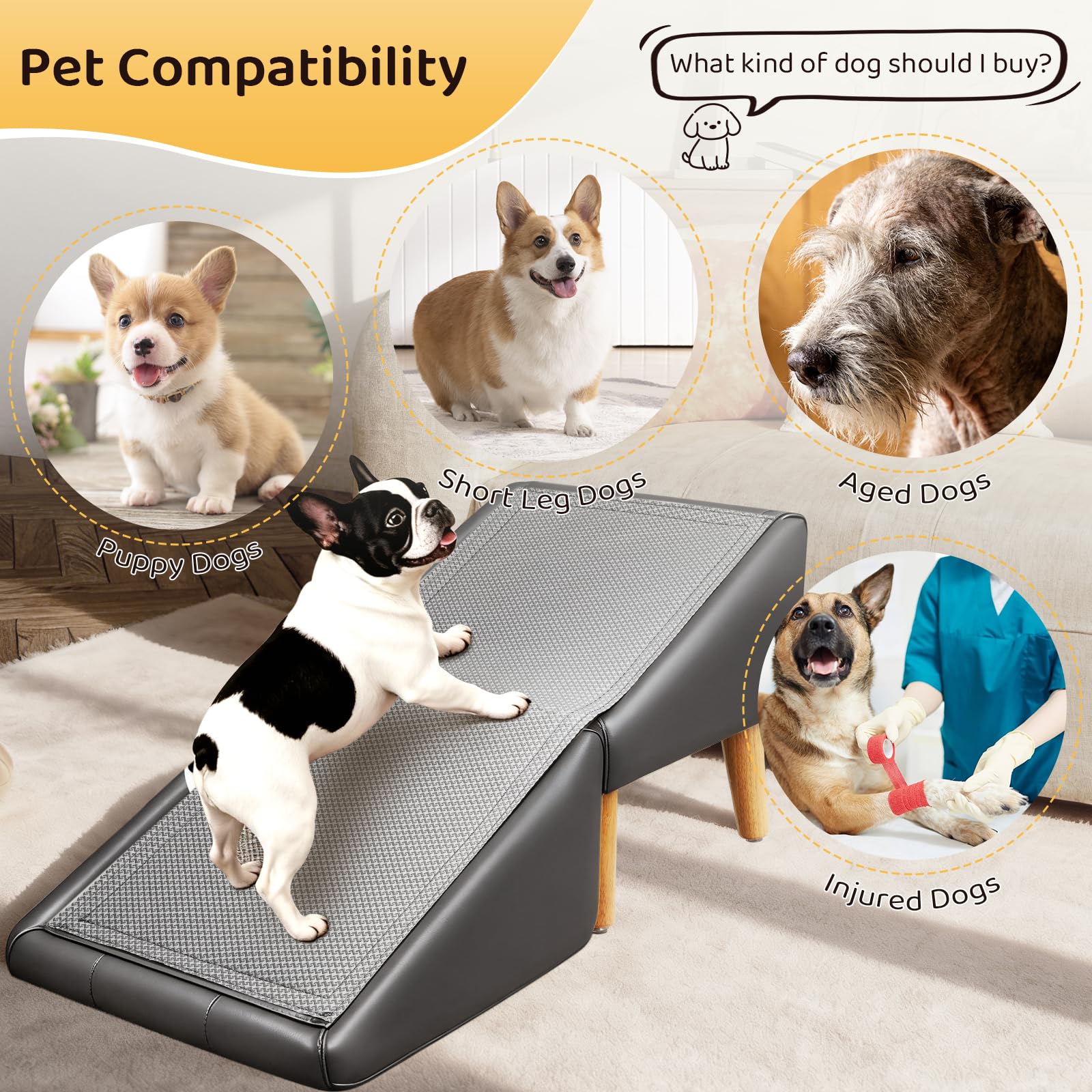 PawStep™ 2-in-1 Dog Ramp & Stairs for Couch – Foldable Non-Slip Pet Steps for Small & Senior Dogs